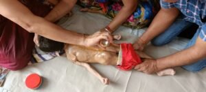 Nirog Jeevan Sansthan photo